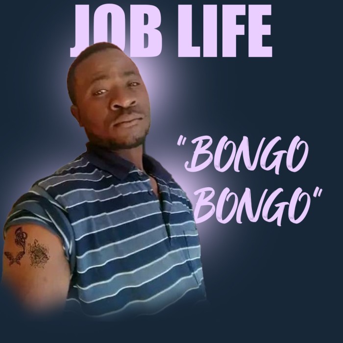 Song Cover